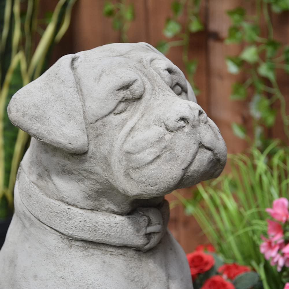 DGS STATUES Stone Cast, Exclusive Sitting Boxer Dog, Life Size, Hand