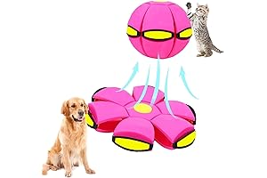 Flying Saucer Ball for Dogs: The Ultimate Canine Plaything