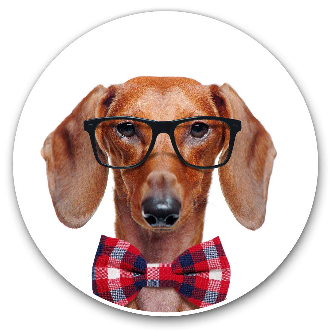 Destination Vinyl Ltd Dachshund Sausage Dog Glasses 24058 2 X 30Cmvinyl Stickers - Ny Dachshund Sausage Dog Glasses Decals For Car Van Luggage Scrap Book Fridge #24058