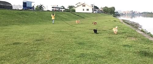 Miniatura 8 de AMAGOOD Correa larga para perro para entrenamiento de perros de 15, 20, 30, 50 y 100 pies de largo, para entrenamiento de perros medianos y