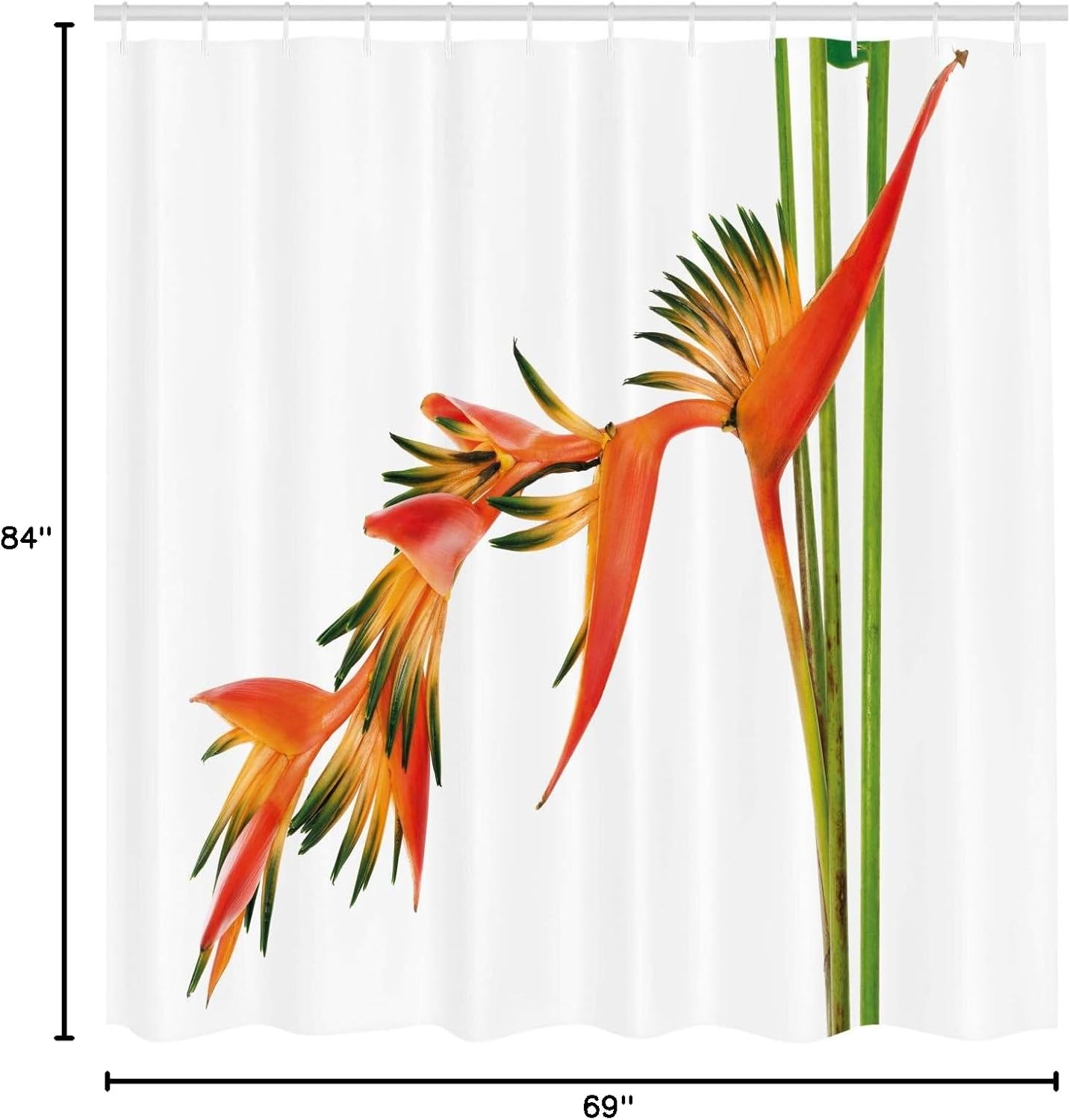 Ambesonne Floral Shower Curtain, Exotic Tropical Flowers on Branch Colorful Nature Jungle Garden Theme Image Print, Cloth Fabric Bathroom Decor Set with Hooks, 69" W x 84" L, Green Orange