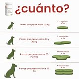 Ver la foto 3