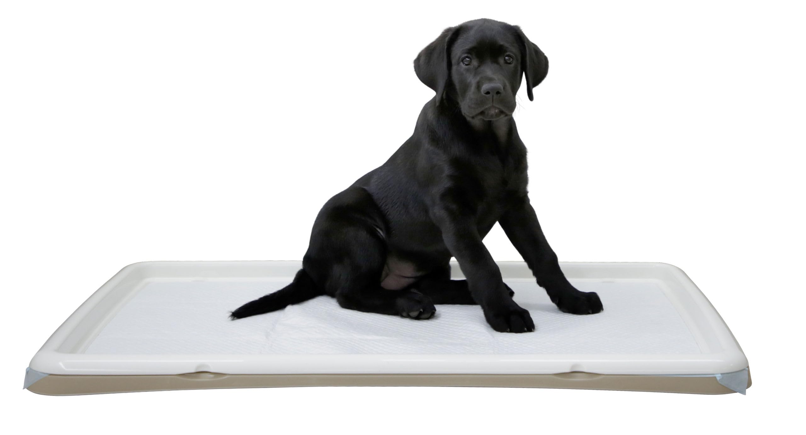Kerbl Pet Caja de Arena para Cachorros XL, 90x60x4cm, Crema, Perros Mayores o Enfermos, la Alfombrilla se Vende por Separado, plástico, Fabricada en Italia