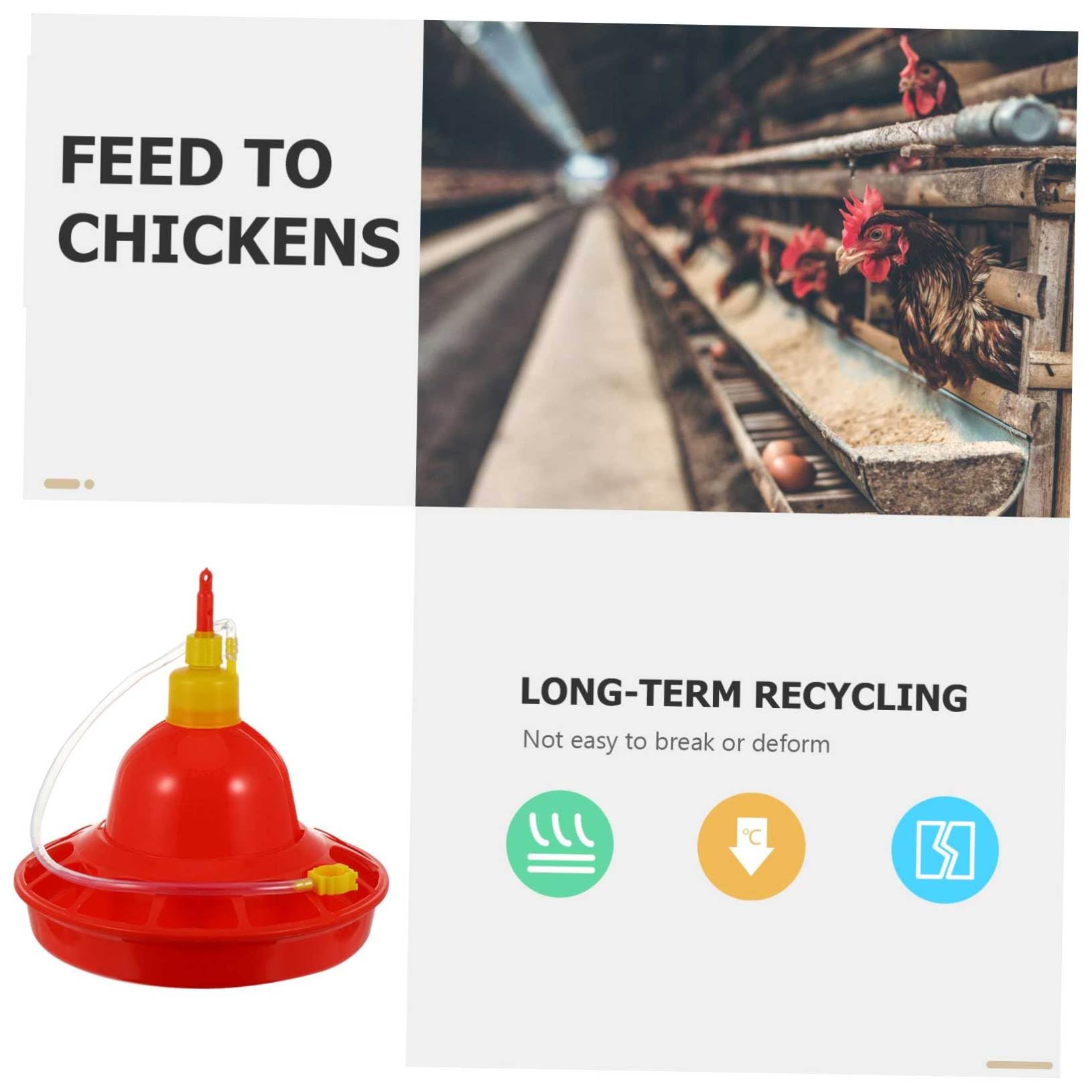 Comedero Automático para Pollitos De Granja Comedero para Agua Comedero para Pollitos