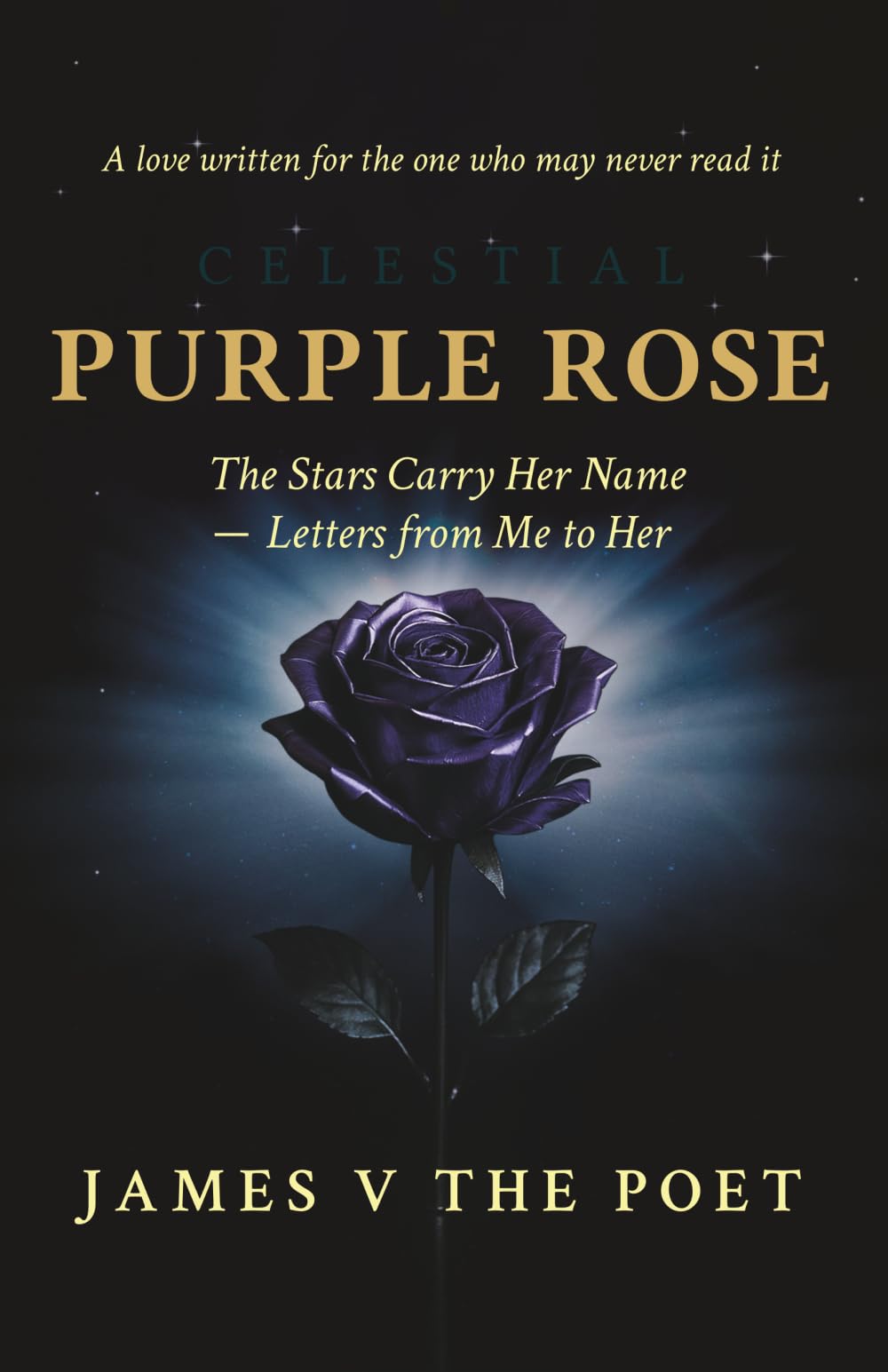 Purple Rose: The Stars Carry Her Name – Letters from Me to Her