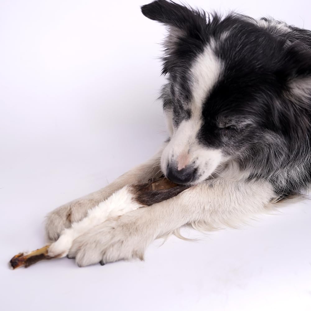 Natürlicher Snack für Hunde, gesund, lange Kauen, proteinreiche Leckereien für Zahnpflege und Unterhaltung, natürliche Auszeichnungen für erwachsene Hunde und Welpen (500 g, Kaninchen)