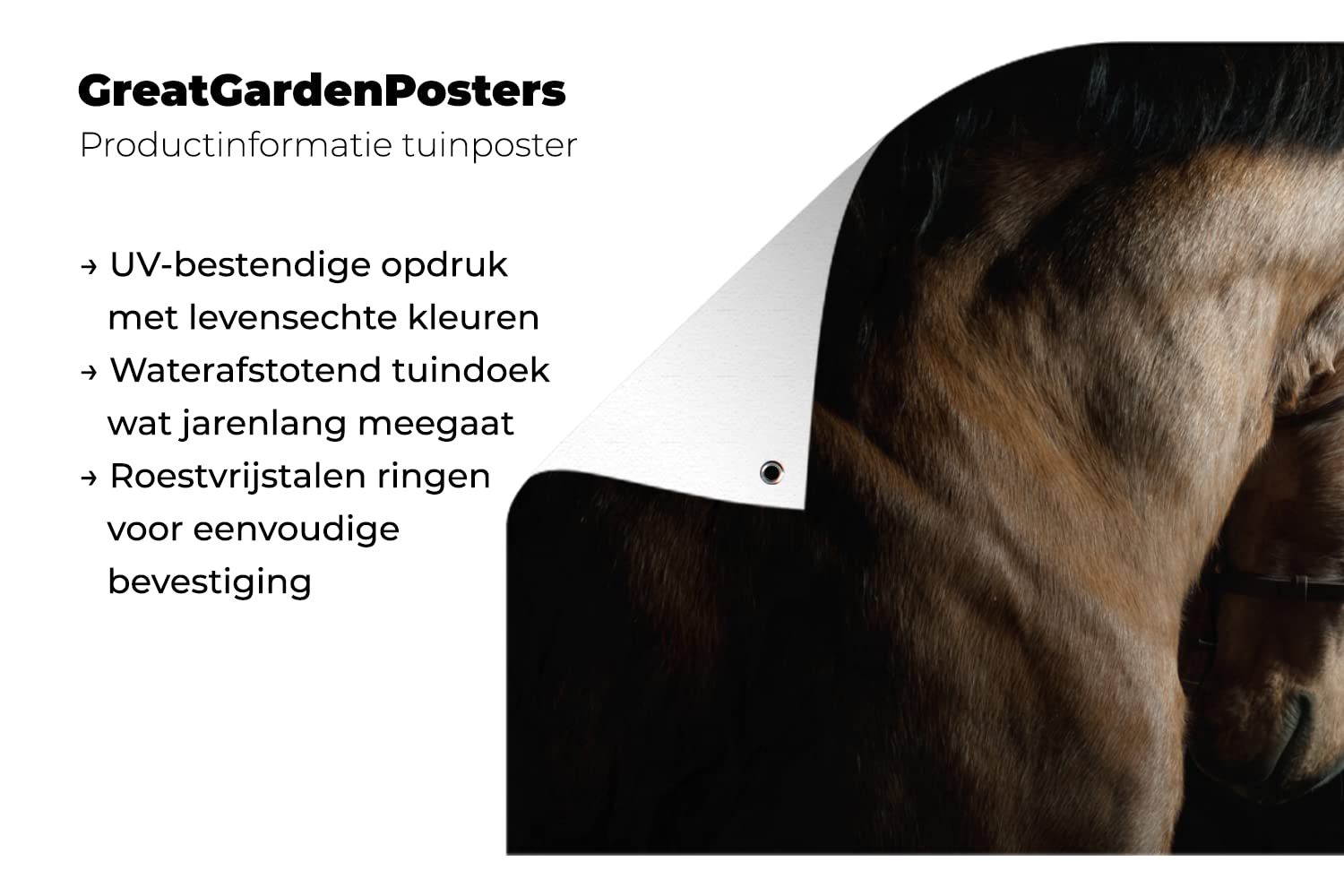 MuchoWow Outdoor-Poster Poster Wanddeko draußen Deko Garten Gartenposter 160x80 cm Pferde - Halfter - Schwarz