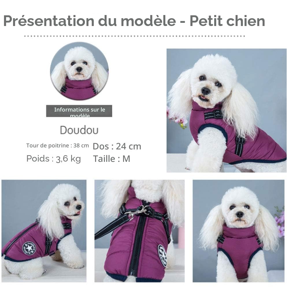 Gilet d’hiver pour chien avec harnais - Veste de sport/extérieur chaude pour chats, chiots et petits chiens