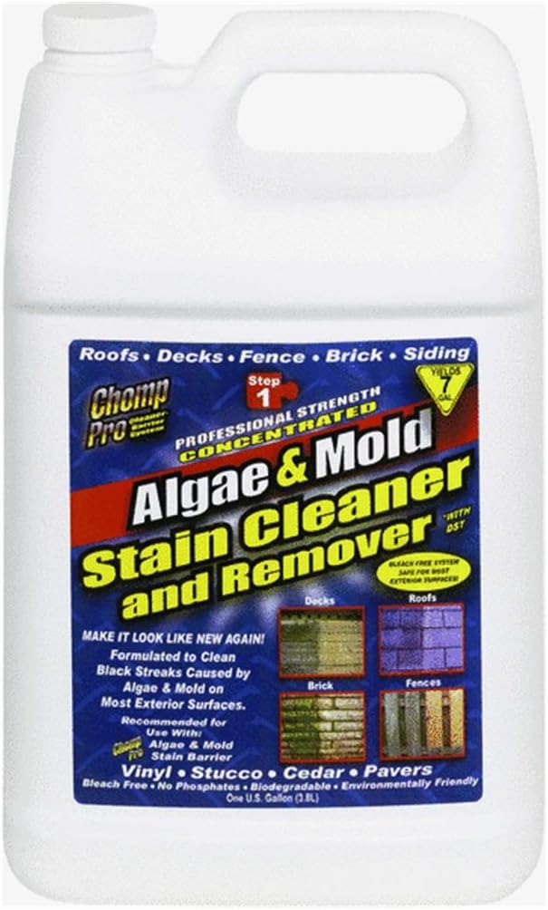 162822 53034 1G Algae & Mold Cleaner