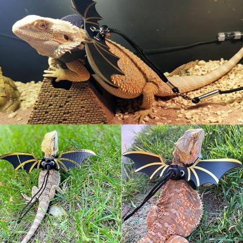 Bearded-Dragon-Carrier-with-Harness-and-Leash-Set-Large-Small-Animal-Carrier-Backpack-Bubble-Window-Portable-Small-Pet-Carrier-for-Reptile-Lizard-Rabbit-Bird-Guinea-Pig-Cat-Travel-Walking