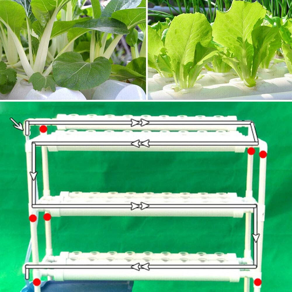 Kit de culture hydroponique 90 sites 3 plantes couchées PVC 10 tubes Système de jardin pour légumes