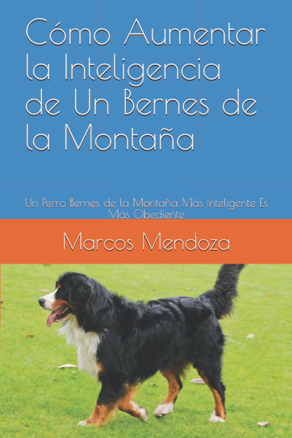 Marcos MendozaCómo Aumentar la Inteligencia de Un Bernes de la M: Un Perro Bernes de la Montaña Más Inteligente Es M