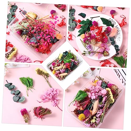 Ramo de flores secas prensadas para artesanía miniatura 2