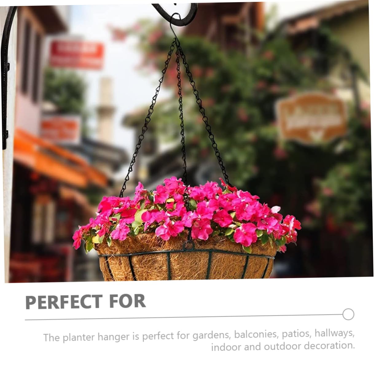 BESTonZON Supports pour Paniers Suspendus Crochets Fer pour Pots de Fleurs Supports Muraux Échelle pour Jardinières de Balcon