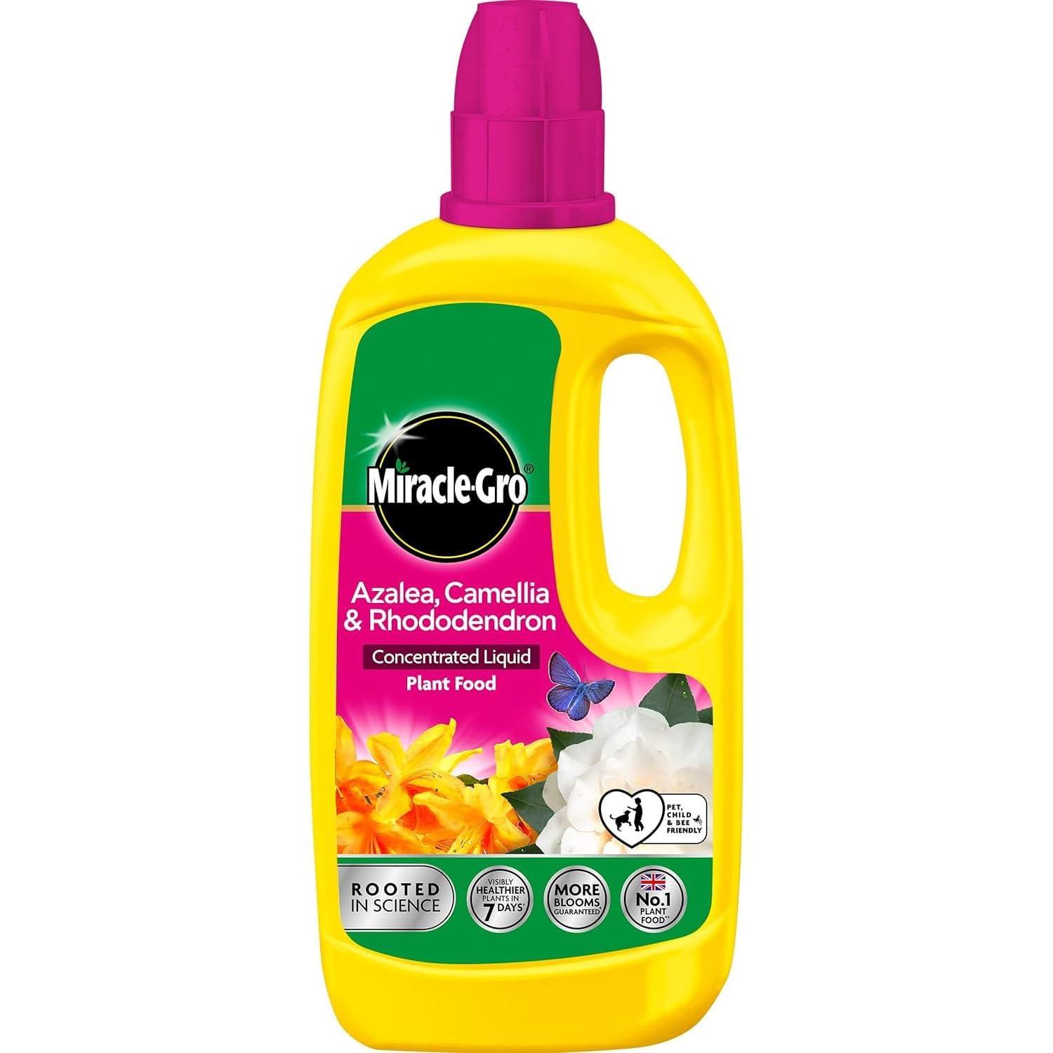 Miracle-Gro Ericaceous Liquid Plant Food 800ml – Concentrated Feed for Acid-Loving Plants – Promotes Vibrant Blooms & Healthy Foliage