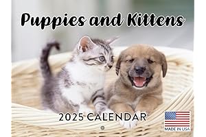 Puppies and Kittens Calendar 2023 Monthly Wall Calender 12 Month