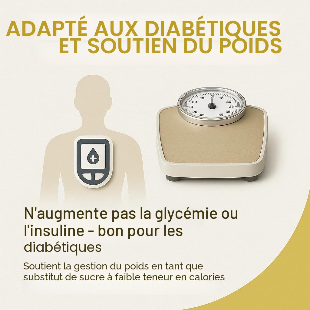 GiDeli Xylitol 5 kg - Sucre de Bouleau - Pour Boissons et Pâtisserie