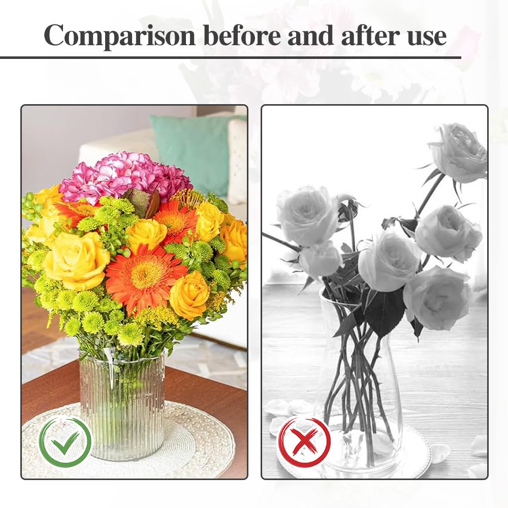 Accessoire Arrangement Floral Vase Quixotical Support Tige Ikebana - Grille Florale Inoxydable - 3 Tailles (S M L) - Pour Vases Et Arrangements Grille Florale Vase Accessoire Arrangement Floral Vase Quixotical Support Tige Ikebana - Grille Florale Inoxydable - 3 Tailles (S M L) - Pour Vases Et Arrangements Grille Florale Vase