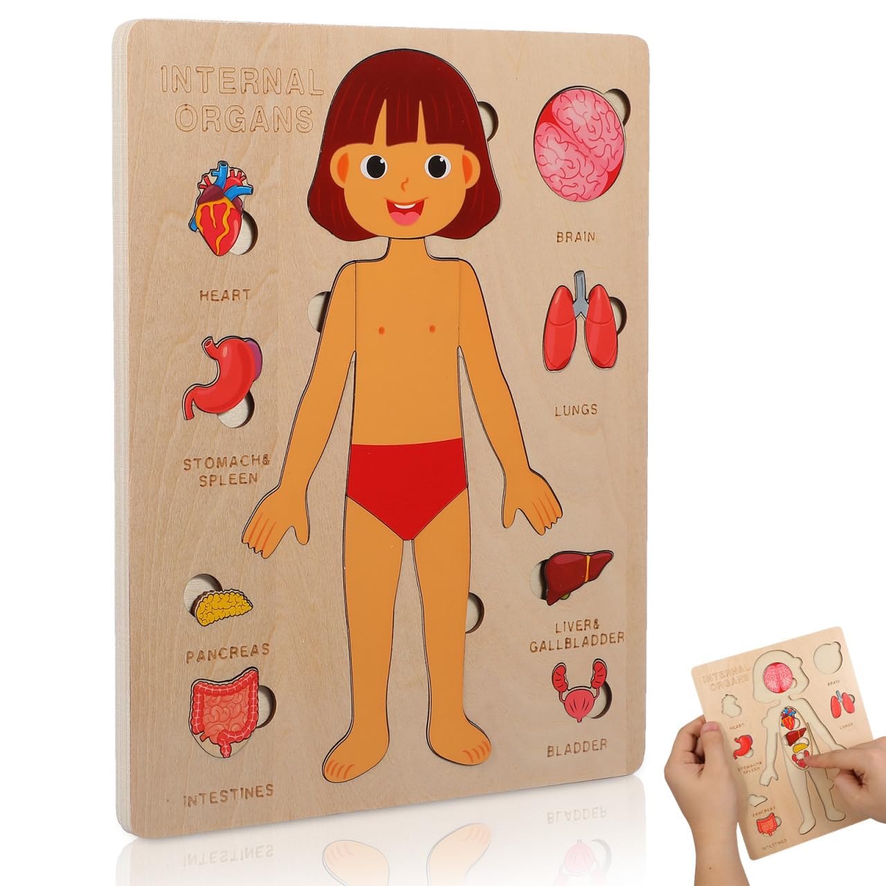 Toyvian Wooden Human Body Puzzle for Kids