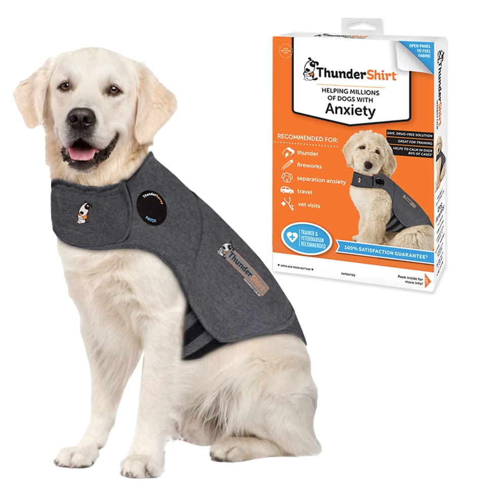 Best Anxiety Jacket for Dogs and Dog Calming Vests for Separation