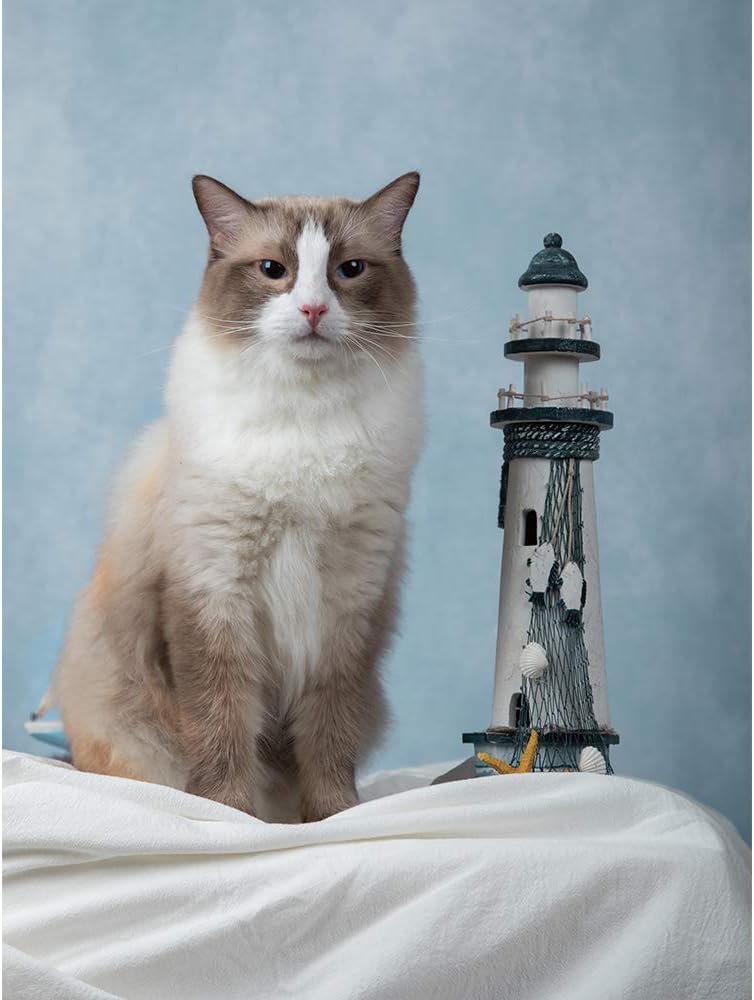 Kate 5x6.5ft(1.5x2m) Collapsible Backdrop Pink Blue Texture Pop up Backgrounds Collapsible Photography Photoshoot Prop