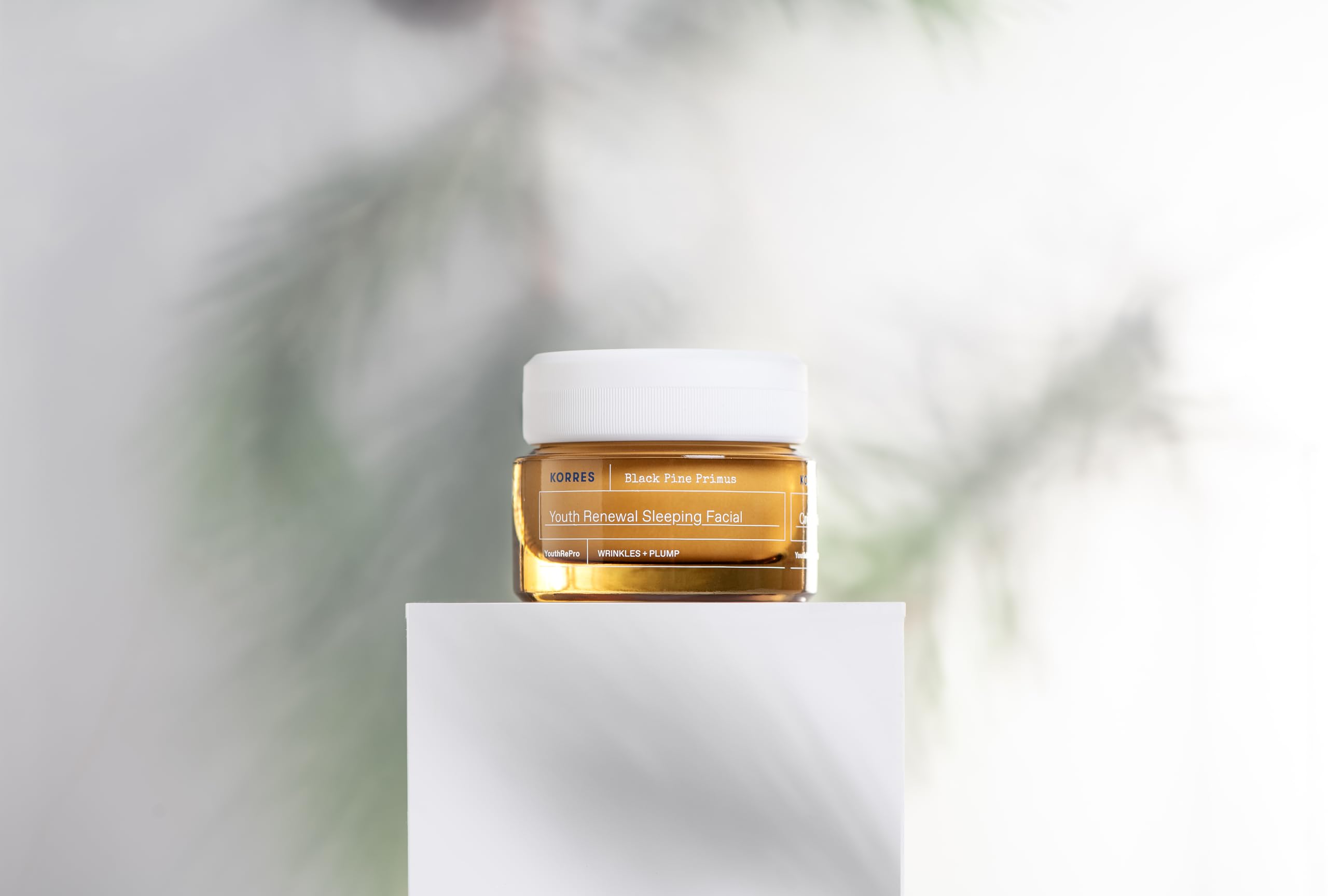 korres Black Pine Primus Youth Renewal Sleeping Facial Nemlendirici 40ml, 5003318841