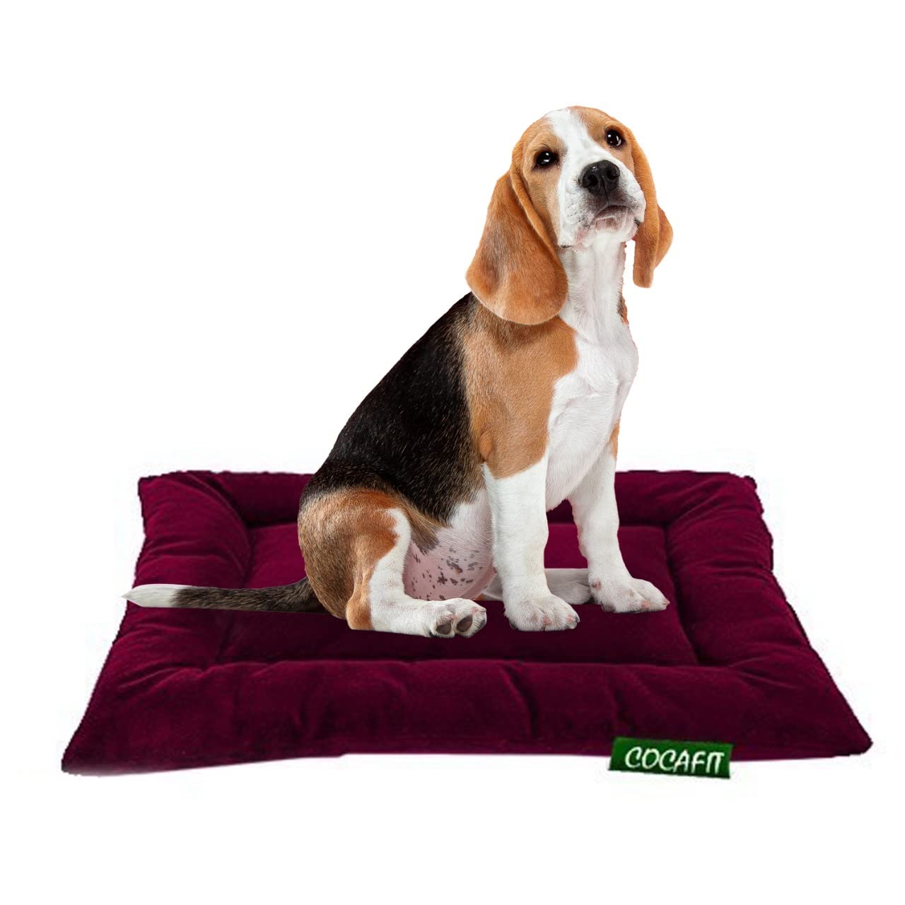 NEXTGO Rectangular Washable Eroqonomic Soft Pet Bed - 20 X 30 Inches, for Small Dogs, Puppies and Cats Pack of 1 (Maroon) (B09NR6D44B) Amazon Price History, Amazon Price Tracker
