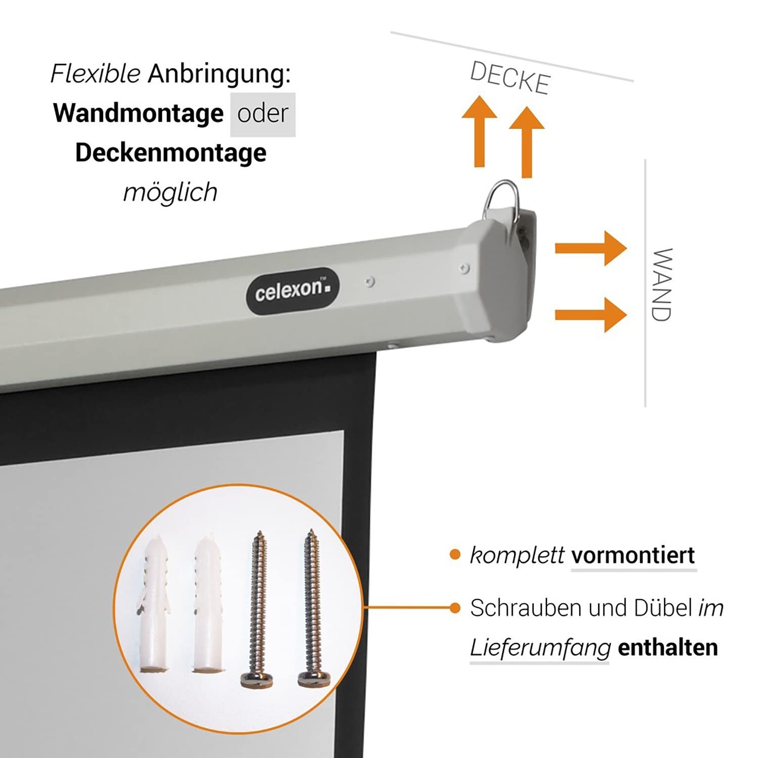 Celexon ELECTRIC ECONOMY, Schermo motorizzato adatto per tutti i tipi di proiezione, fattore Gain di 1,2, formato 1:1, 180 x 180 cm, bianco