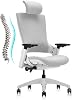 CLATINA Ergonomic High Swivel Executive Chair with Adjustable Height Head 3D Arm Rest Lumbar Support and Upholstered Back for Home Office Gray