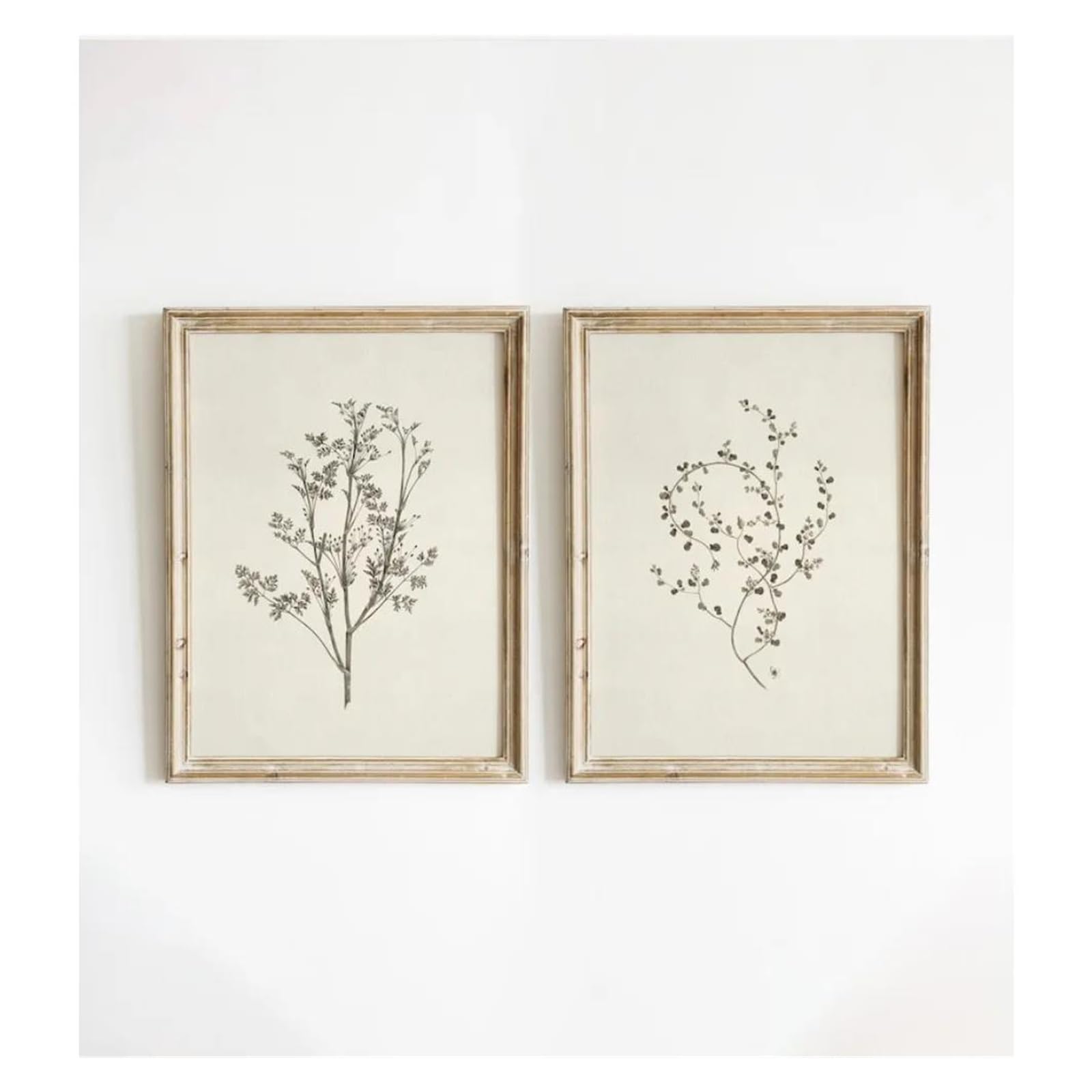 Byambd A Esthetic Pictures 2Pcs Frameless Retro Plant Printing Cottagecore Canvas French Country Plant Posters Prints Flower Nursery Wall Rt Decor(,50X70cm)