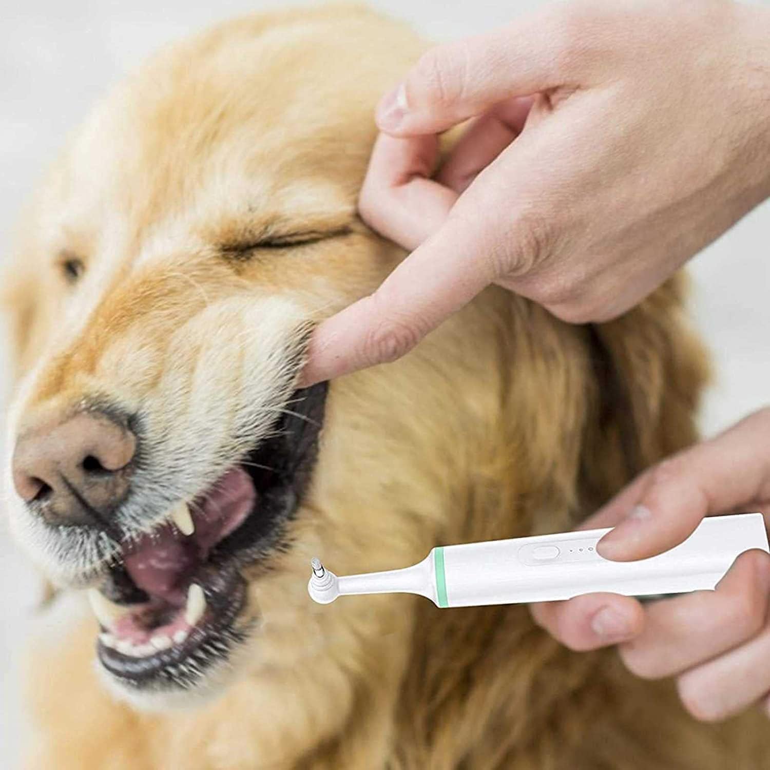 Cepillo de dientes eléctrico para mascotas, herramienta de limpieza de boca de perro, cepillo de dientes ultrasónico para perro con 4 cabezales de cepillo para borrador de manchas, pulidor de dientes