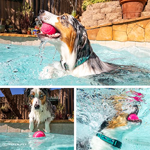 Image of Hyper Pet Tennis Balls for Dogs (Safe Dog Tennis Ball for Exercise and Training, Interactive Toys work with Hyper Pet K9 Kannon K2 Launcher - 4 Pack 2.5 inch Pink