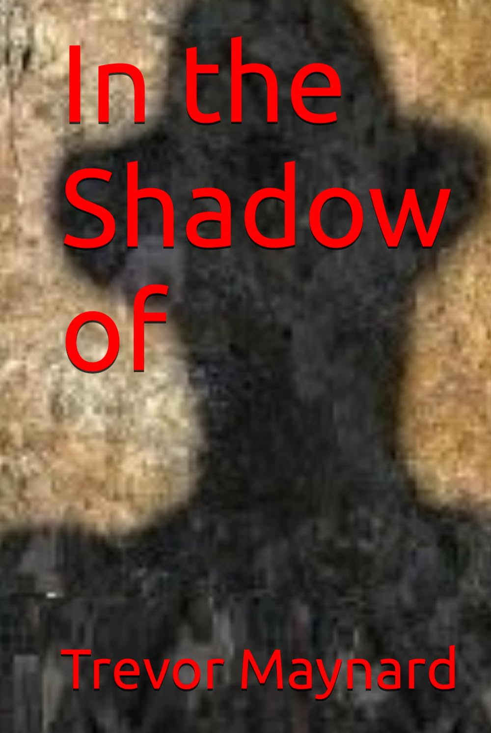 In the Shadow of (Trevor Maynard - Retrospective Voyages)