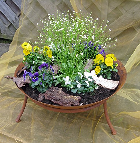 Feuerschale Seona, H 20,00 