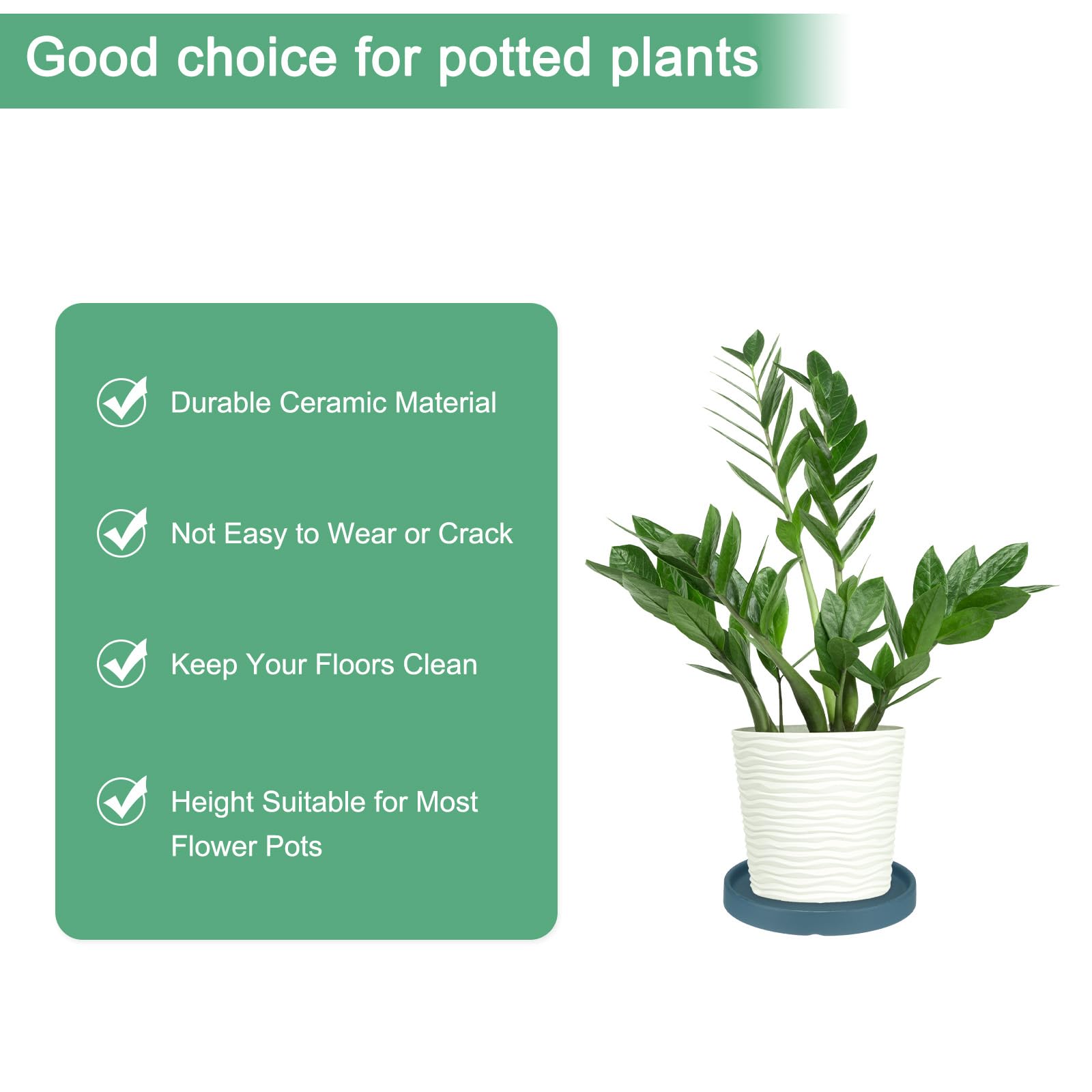 M METERXITY Ceramic Plant Saucer, 6.3 Inch 16cm Plant Water Catcher Tray - Image 3