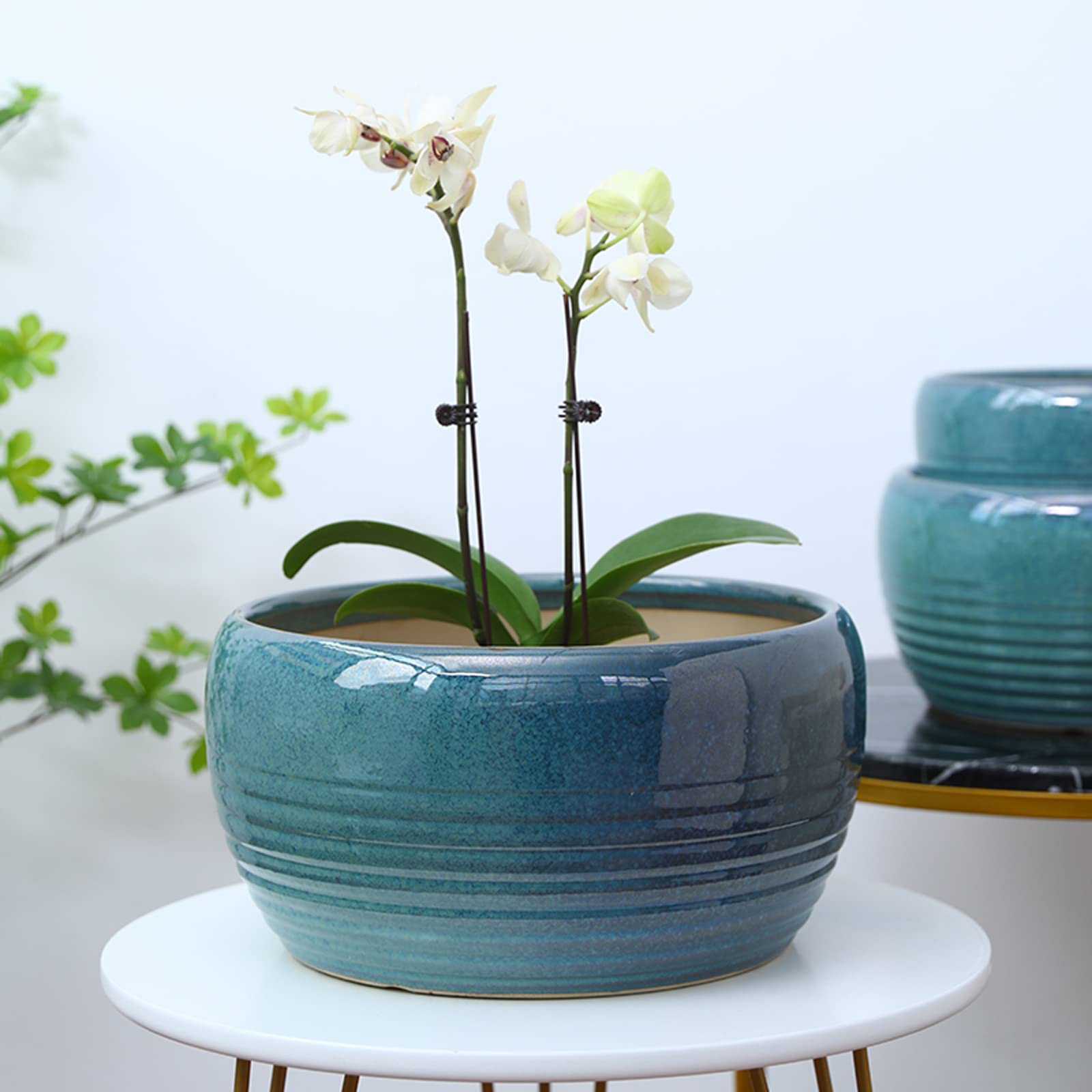 Vasi da Giardino Vaso per Fiori succulenti per la casa, Semplice fioriera in Ceramica con Foro di drenaggio e piattino in plastica per la casa e la Decorazione dell'ufficio