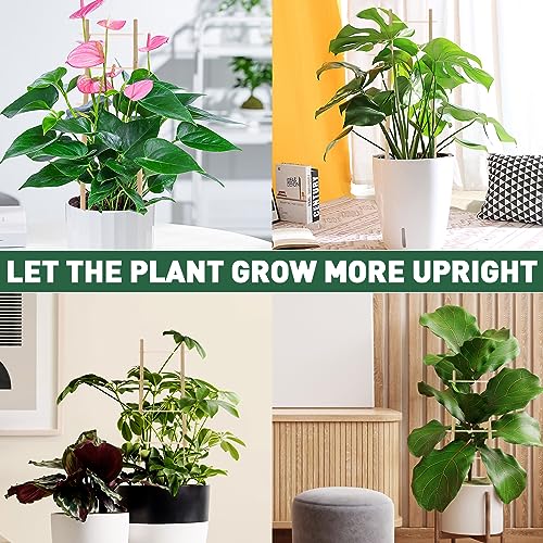 Bamboo Trellis for Climbing Plants 16 Inch 3 Pack Ladder-Shaped Natural Small Bamboo Lattice Mini Wooden Plant Support Trellis Climber for Potted Houseplants Rose Pothos Monstera Indoor Outdoor Garden