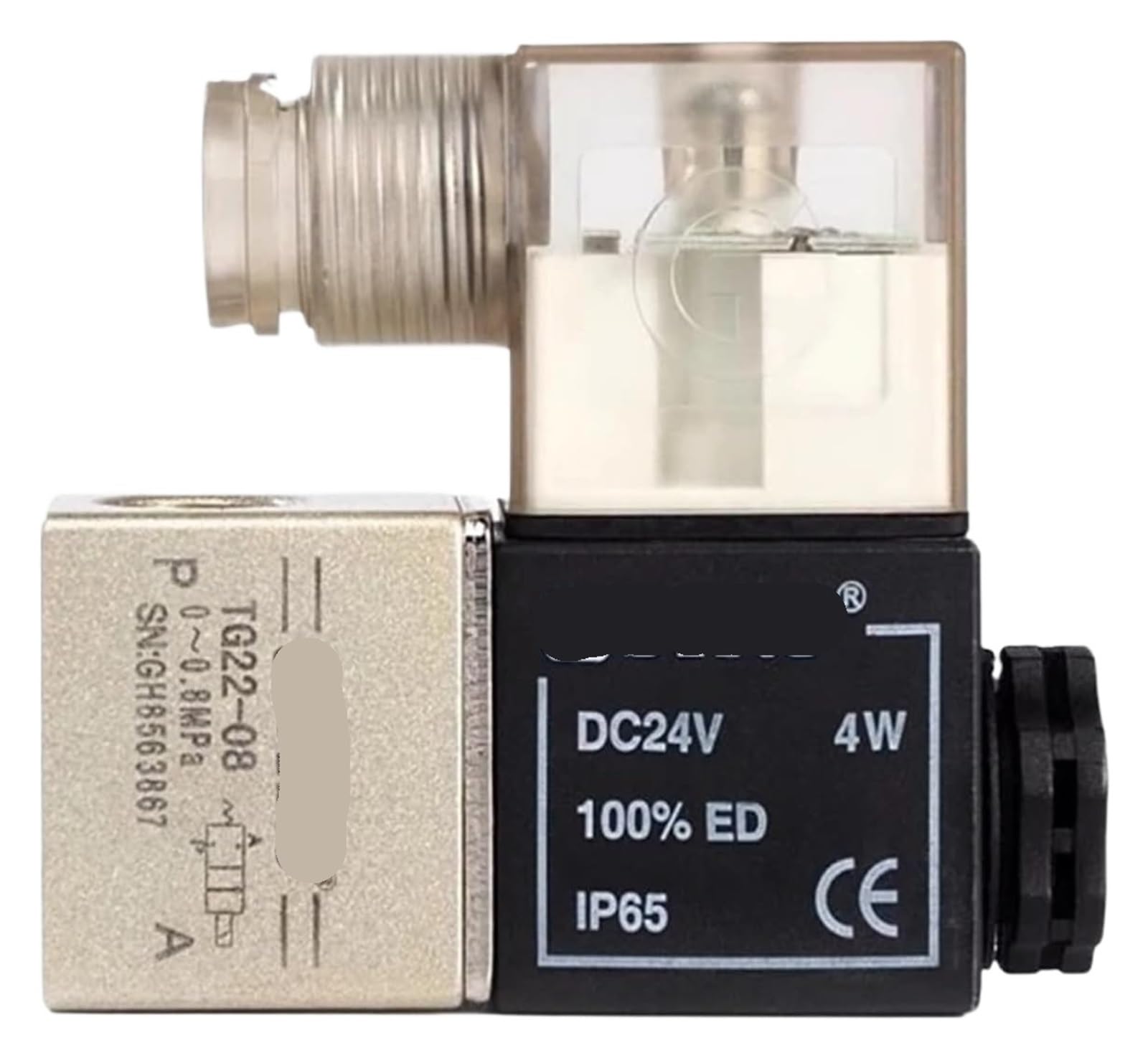 TYHUJKKL 1pcs TG22-08 TG22-06 DC12V DC24V AC110V AC220V AC24V AC36V AC380V Solenoid Valve