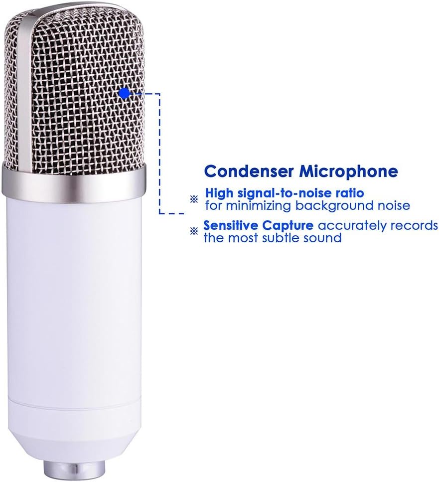 Close-up of the condenser microphone, highlighting its sensitive capture and high signal-to-noise ratio