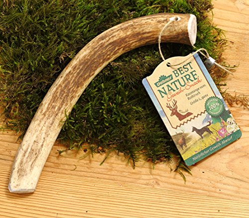 Dehner Best Nature Hundesnack, hochwertiges Leckerli geruchsarm / 100 % natürlich, Kausnack für Hunde, Rothirsch-Geweih, Größe L