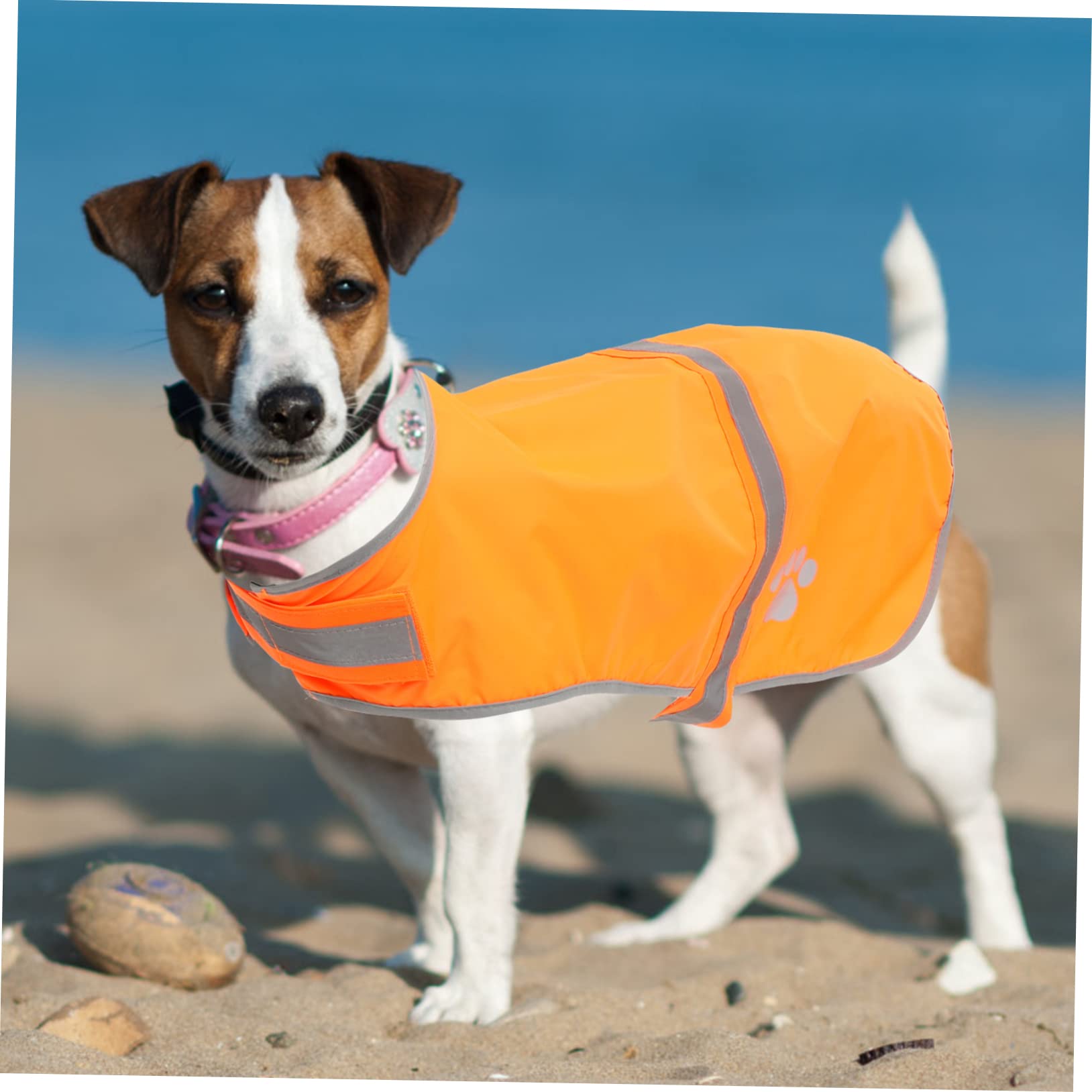 Kisangel 4 Stücke Einstellbare Reflektierende Hund Weste Für Outdoor Walking Wandern Fluoreszierende Haustier Weste