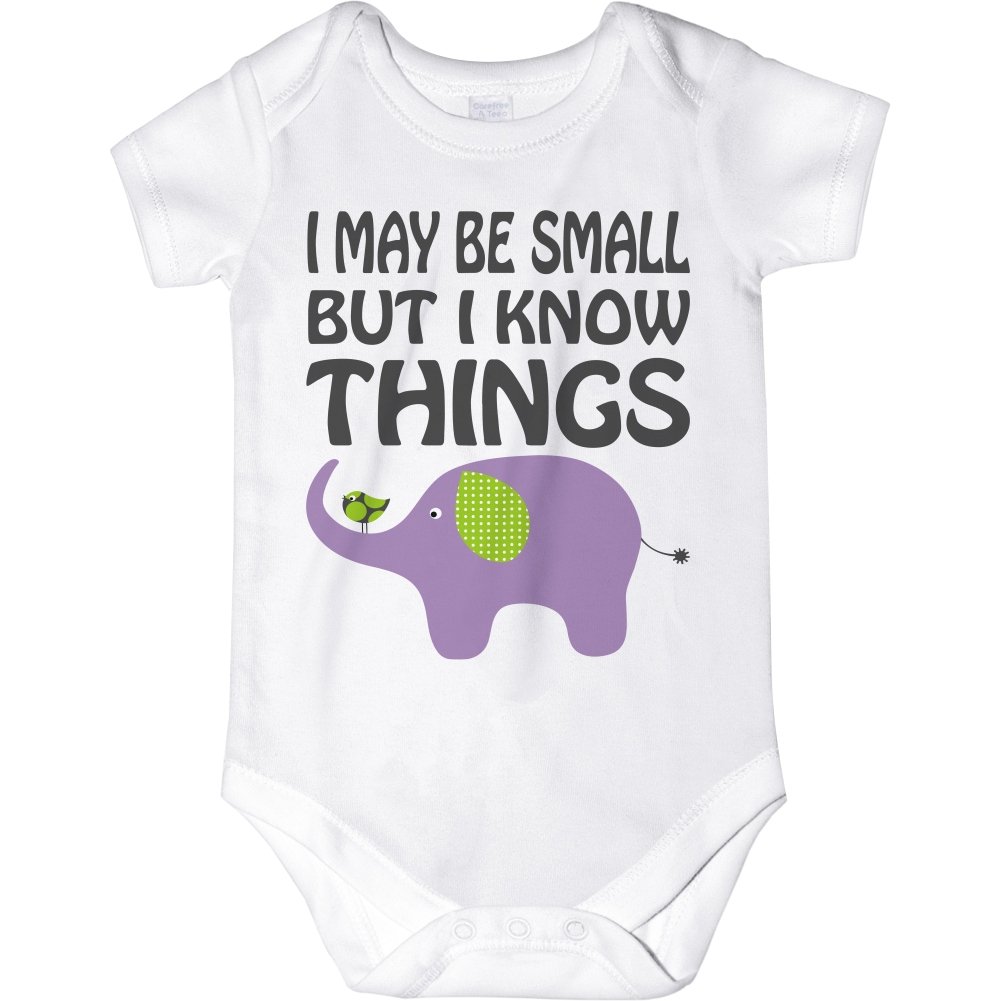 CarefreeTees I May Be Small But I Know Things (Baby Bodysuit or Tee-Shirt)