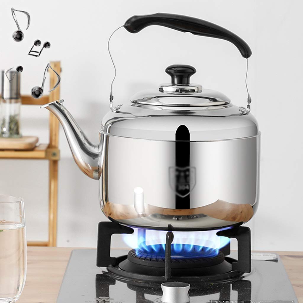 Tetera De Acero Inoxidable Alipis 6 Litros - Para Cocina De Inducción Y Gas, Ideal Para Camping Y Hostelería