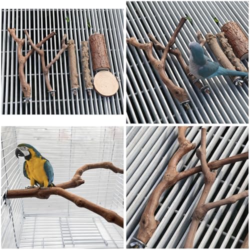Image of 5 Pcs Natural Wood Bird Perch Stand Set, 3 Grape Wood Perches, 2 Stands, Paw Grinding Branches for Parakeets, Macaws, Conures
