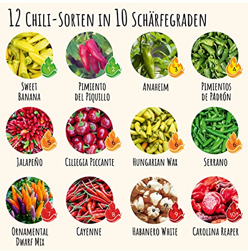 VALEAF Chili zaden set - 12 scherpe tot milde zaden van chilipepers van de hoogste kwaliteit - van Carolina Reaper zaden… - Afbeelding 4