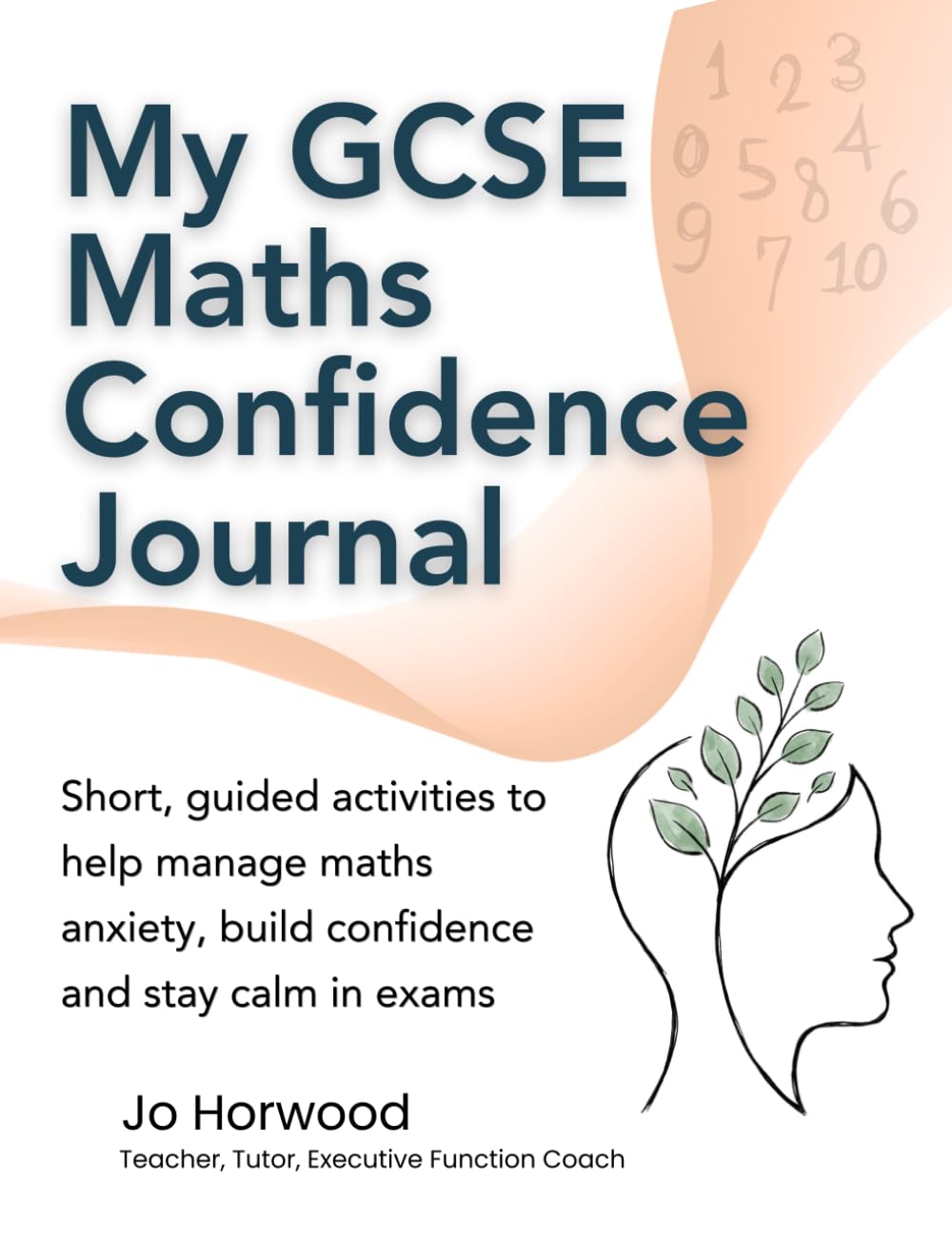 My GCSE Maths Confidence Journal: Short, guided activities to help manage maths anxiety, build confidence and stay calm in exams