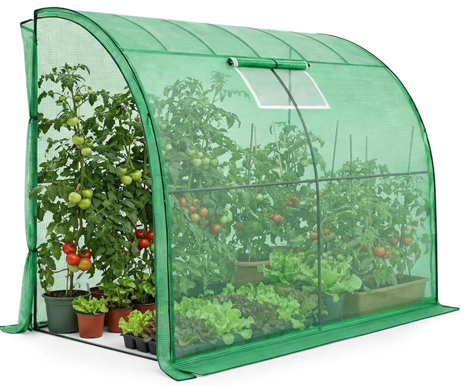 BDW Serra con struttura in metallo e pellicola in polietilene, 100 x 200 x 210 cm, protezione UV, 1 porta e 2 finestre, acciaio verniciato a polvere (verde)
