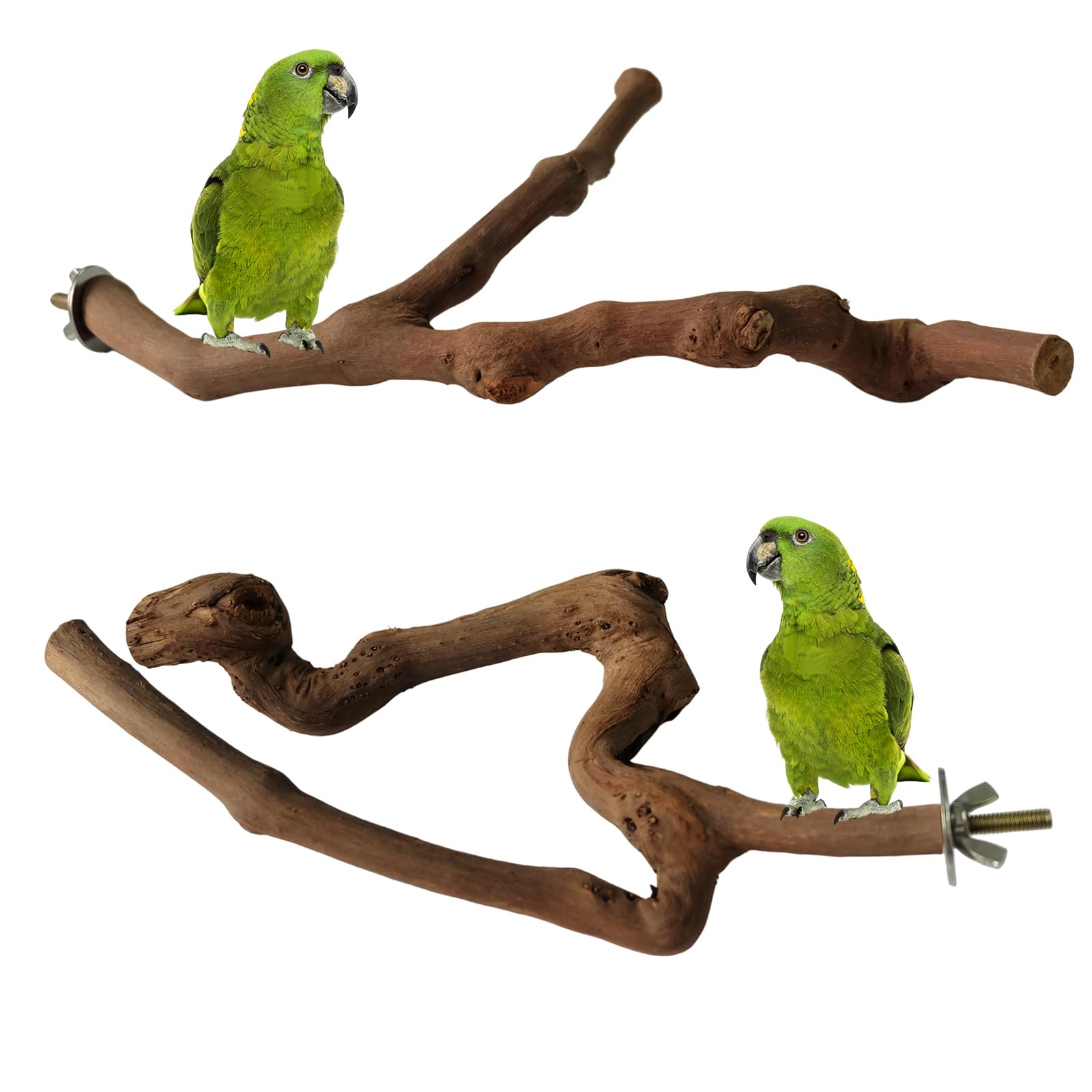 Molyorch 2 Piezas Perchas Madera Pájaros, Perchas Madera Soporte Loro, Madera UVA Jaulas Pájaros, para Periquito de Piel de Tigre, Guacamayo, Accesorios Canarios