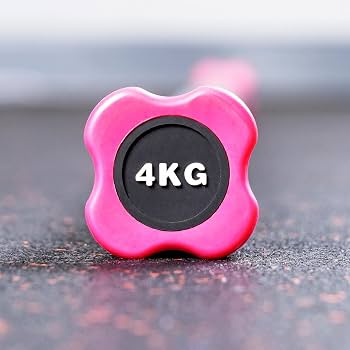 Barre Lestée METIS Pour Fitness - 5 Poids De 2kg à 10kg - Rembourrée En Mousse - 122 Cm - Gym Maison
