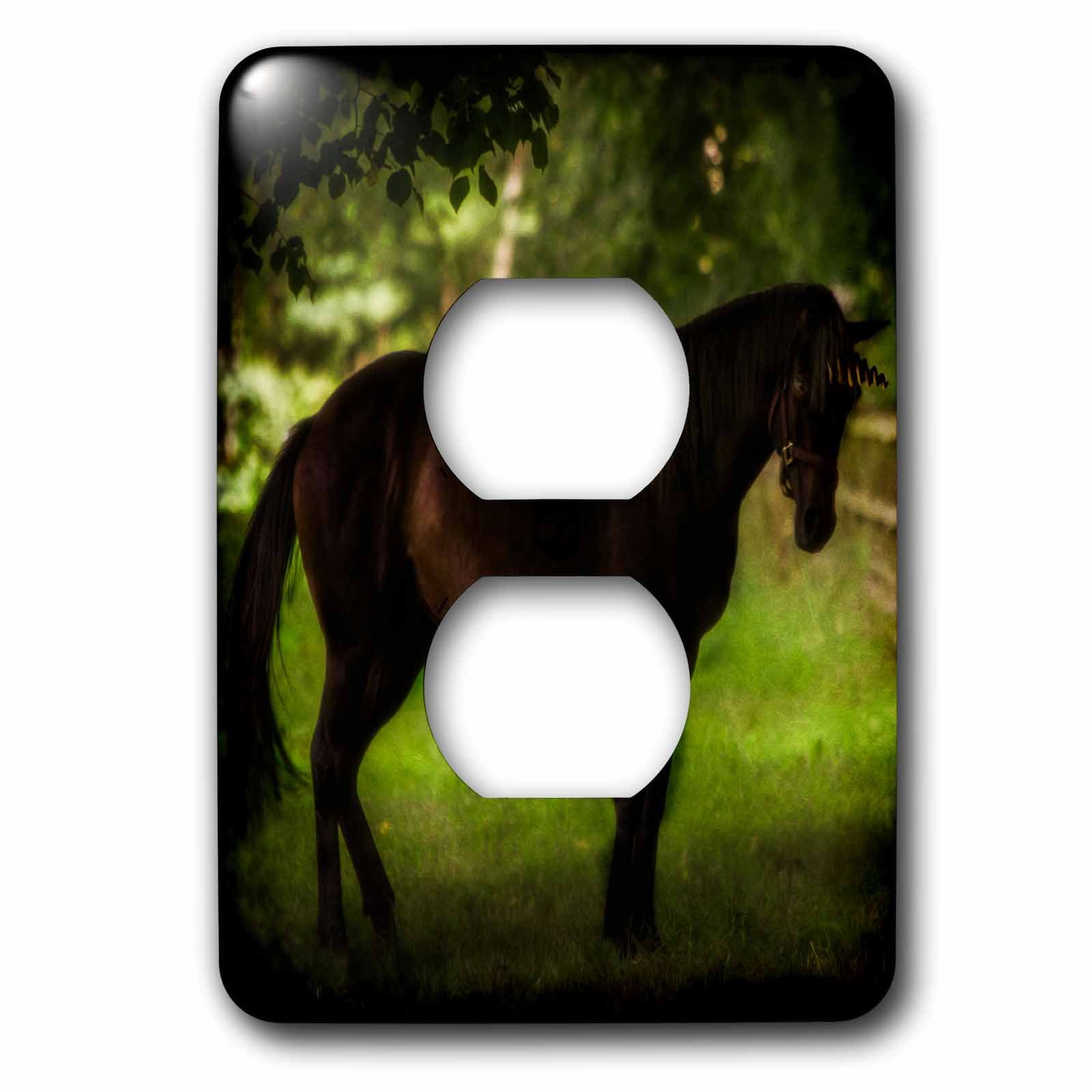 Licorne Dark Horse Country Glow 3dRose cache-prise double décoratif pour la maison